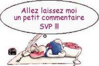 commentaire01.jpg