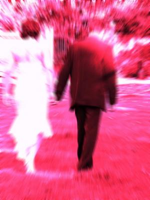 lavieenrose.jpg